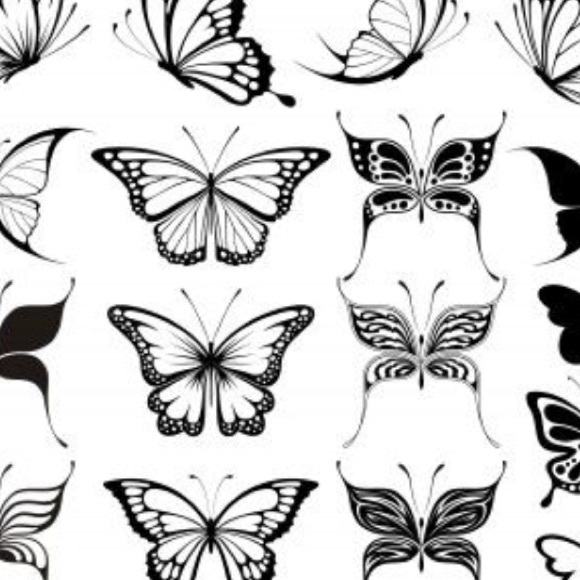 Meet your Posher, Torri - Picture 1 of 1